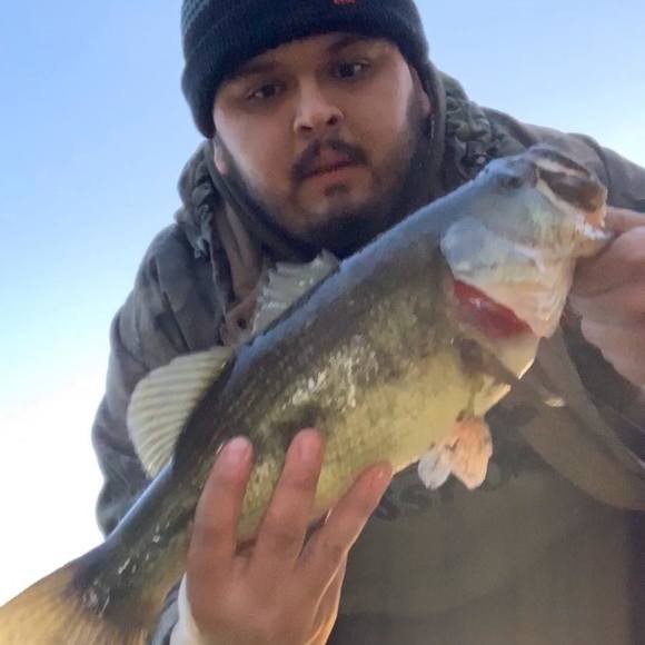 Meet your Posher, Jason - Picture 1 of 1